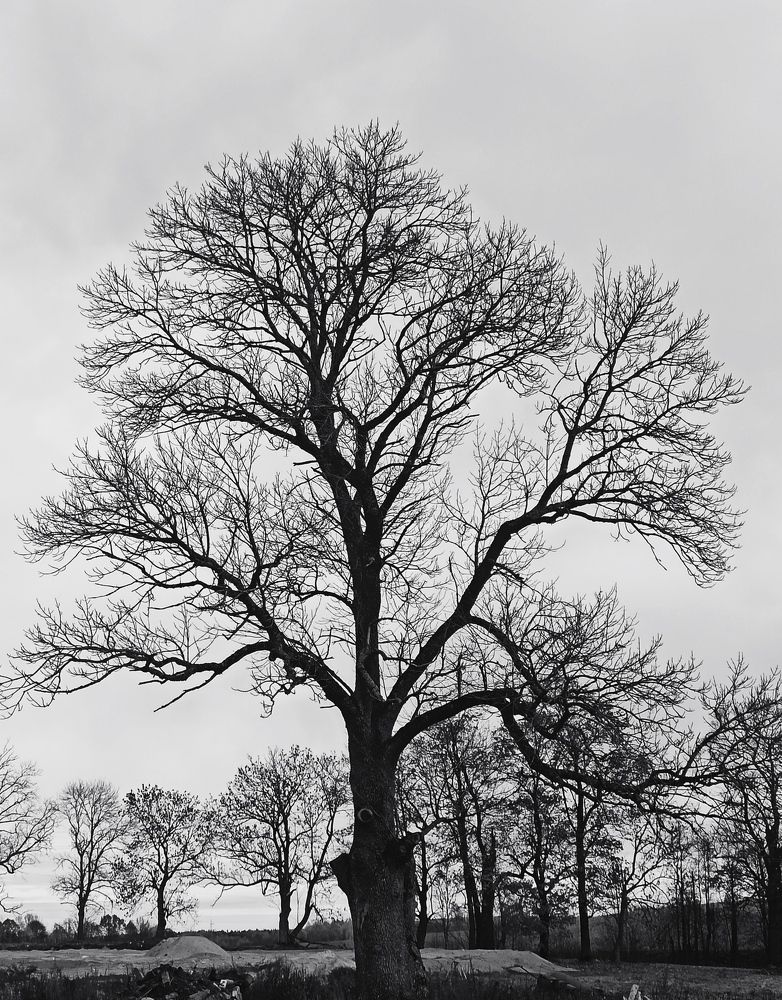 Фотография автора Татьяна Ротько