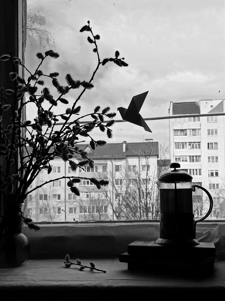 Фотография автора Татьяна Ротько