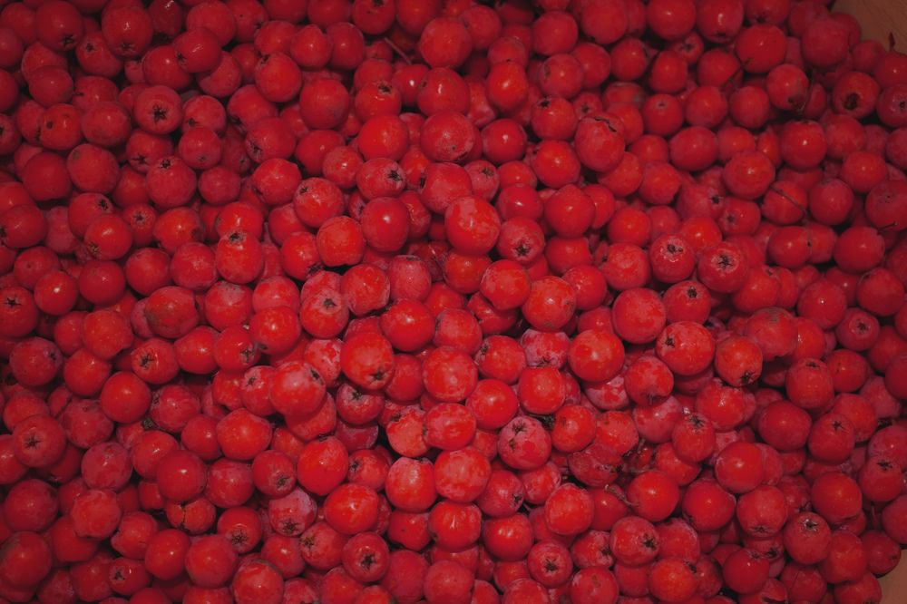 Photograph by  Татьяна Дорожко