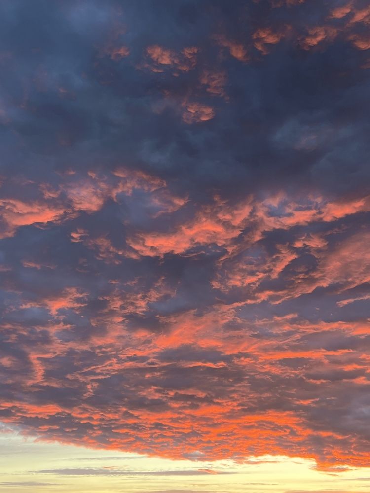 Photograph by Полина Смирнова
