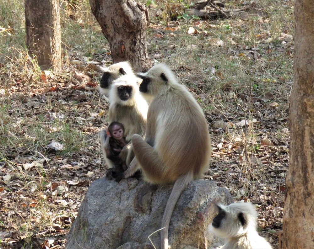 Photograph by ANISH BISWAS