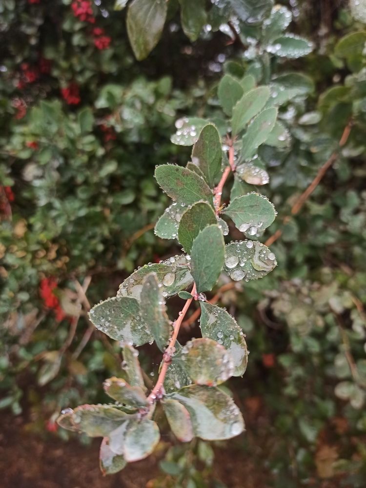 Фотография автора Татьяна Ротько