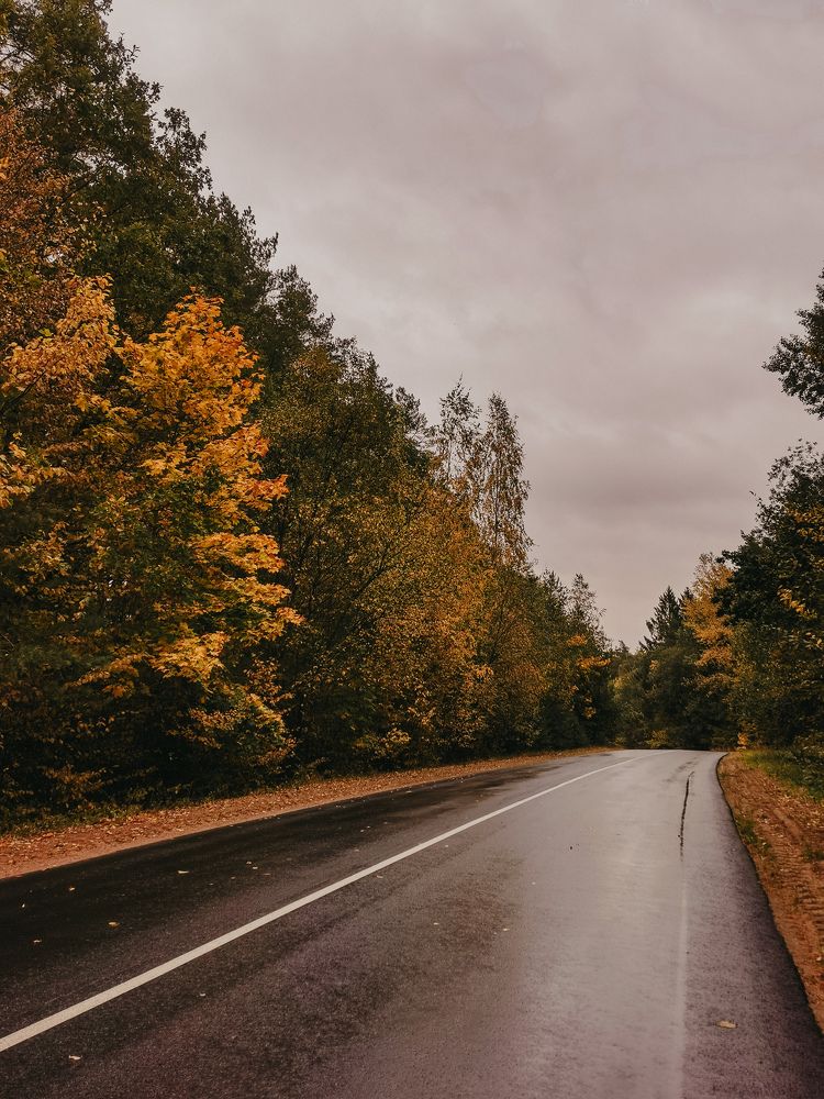 Photograph by Дарья Гомза