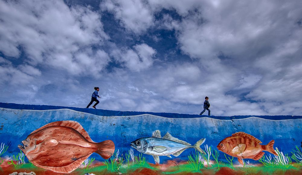 Фотография автора Mehmet Gokyigit