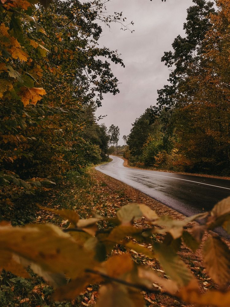 Photograph by Дарья Гомза