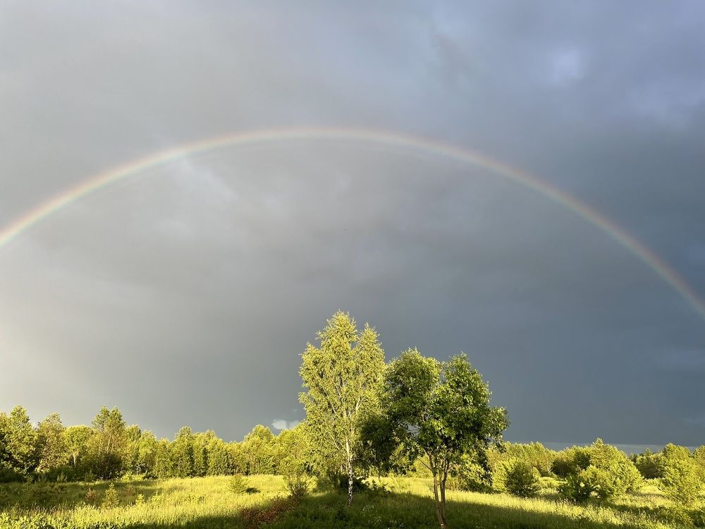 Photograph by Светлана Максимова