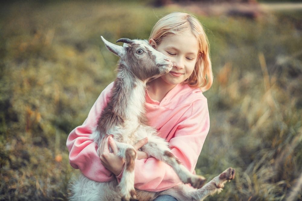 Photograph by Анатолий Климов