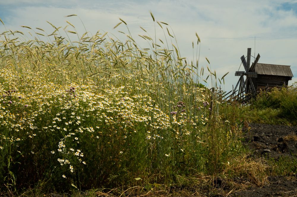 Photograph by Вика Нова