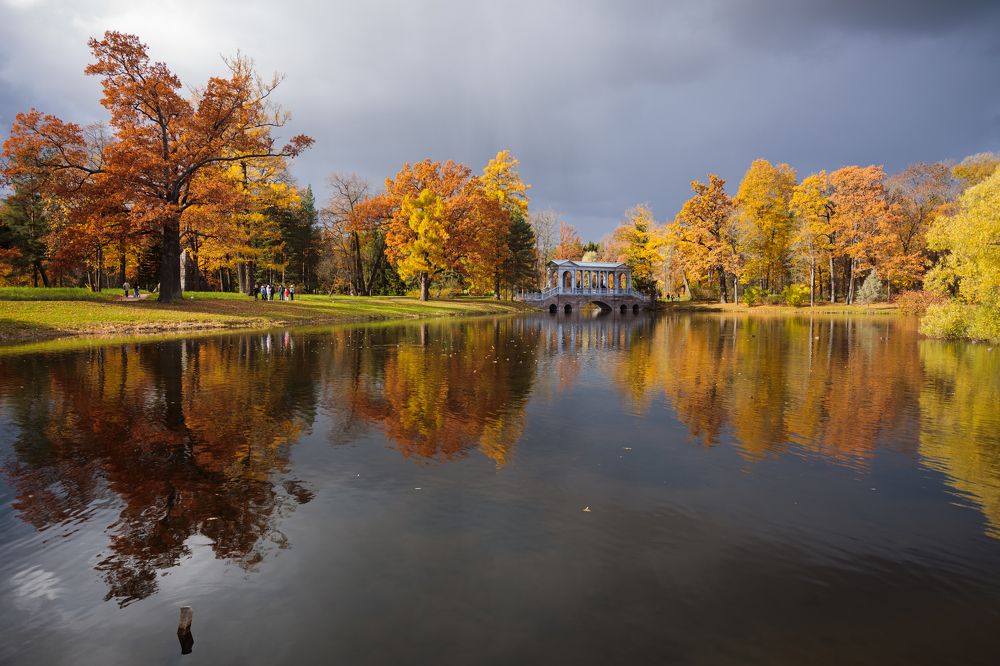 Перед дождём