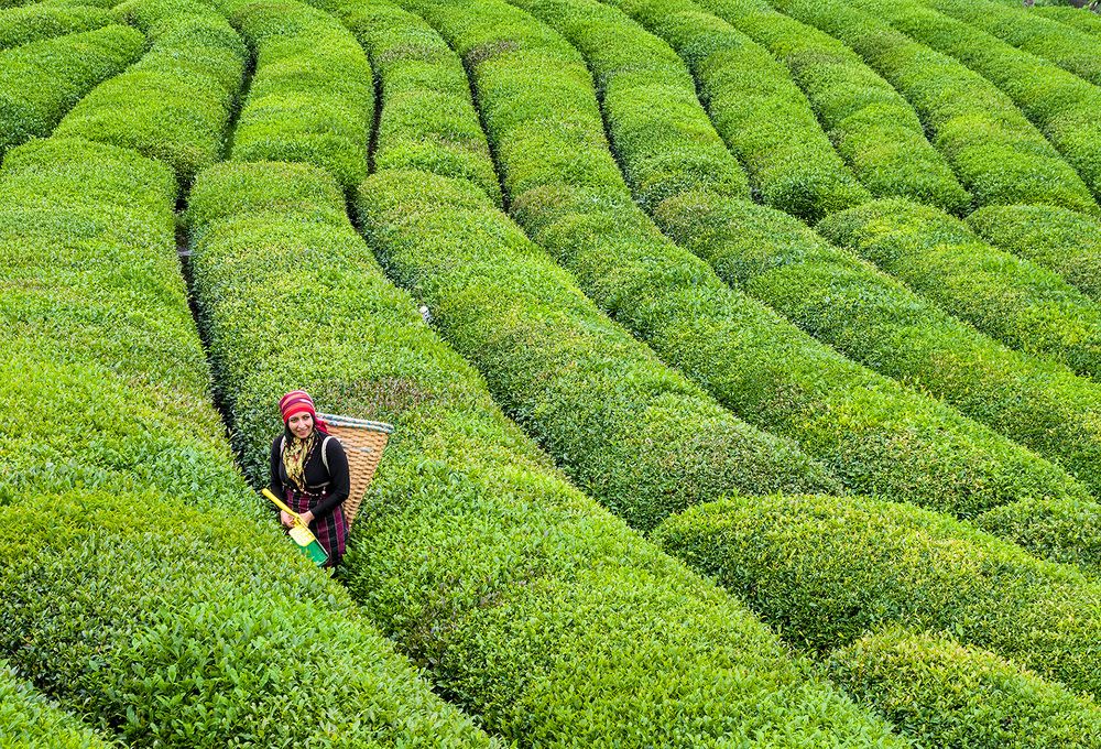 Фотография автора Mehmet Gokyigit