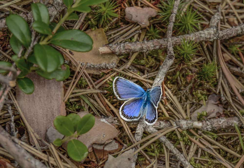 Photograph by Екатерина Казарцева