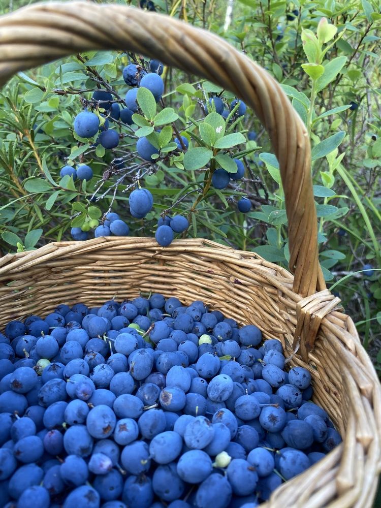 Photograph by Катерина Валах