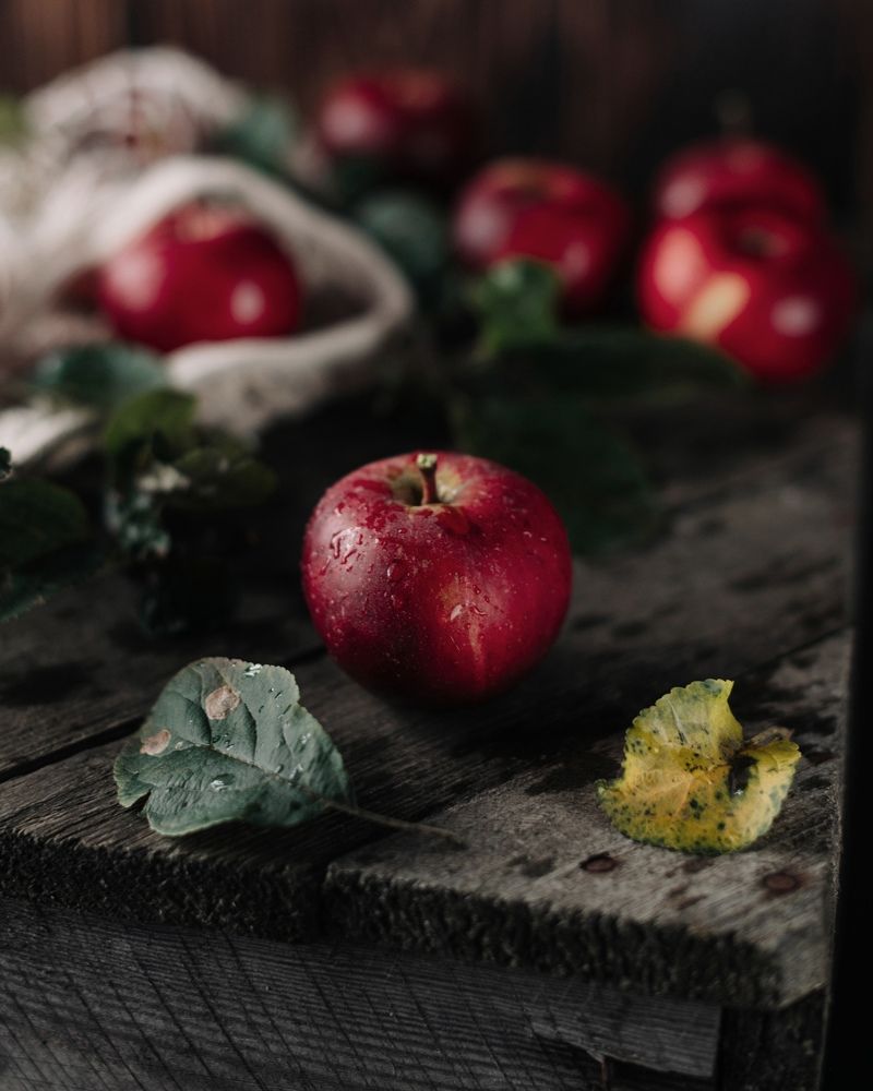 Photograph by Дарья Гомза