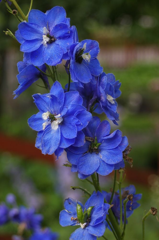 Photograph by Ionika Mink