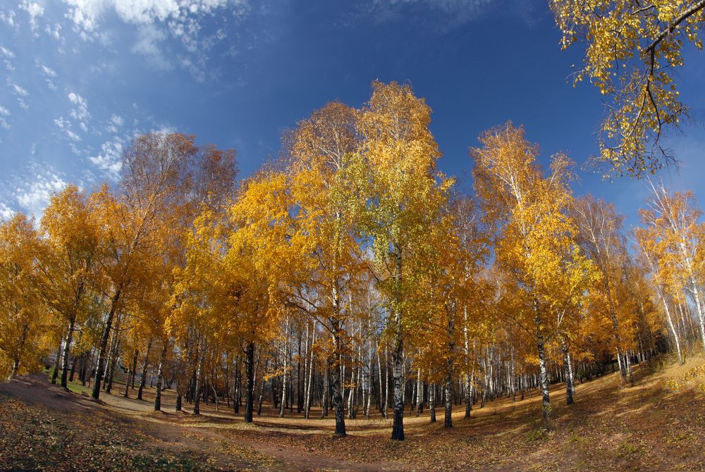 Photograph by Ольга Заболотская