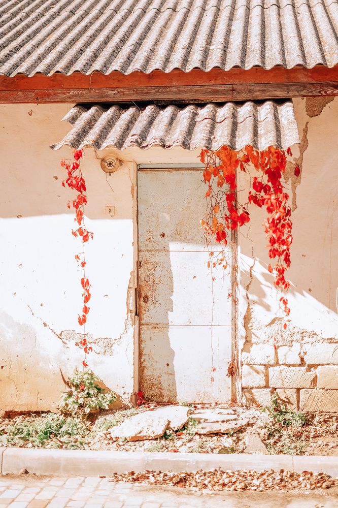 Фотография автора Татьяна Тур