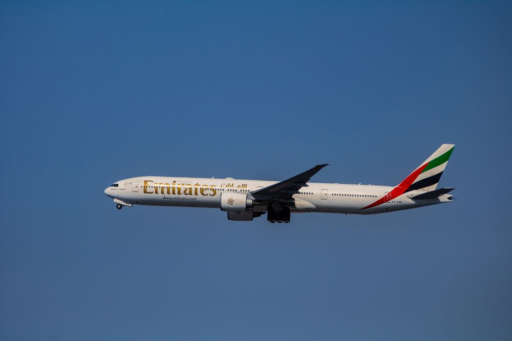 Фотография автора Csapody Adam