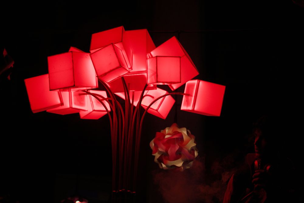 Фотография автора Csapody Adam