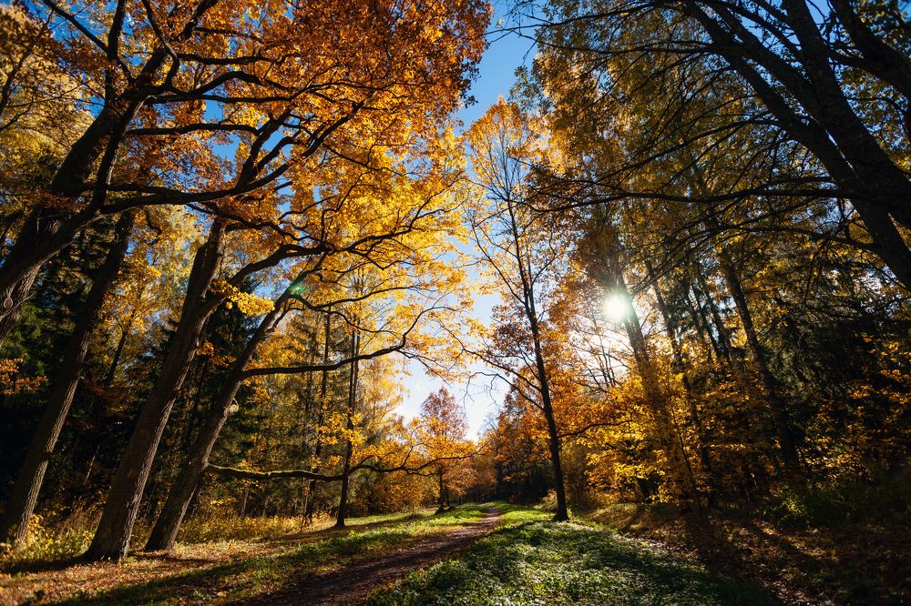 Photograph by Мария Пищалова