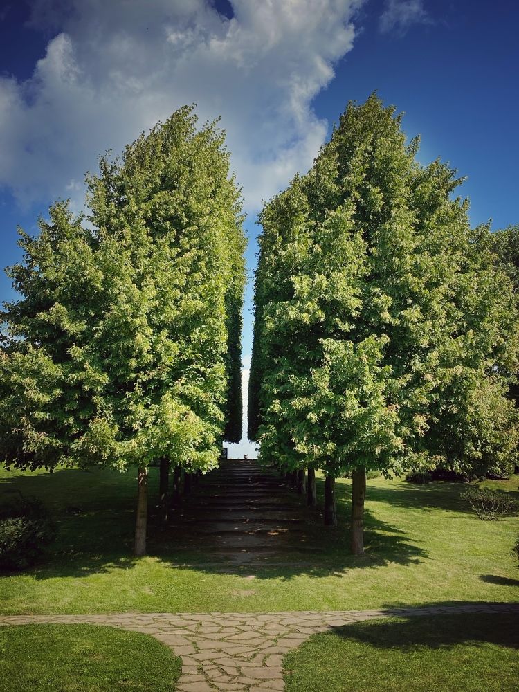 Photograph by Катерина Валах