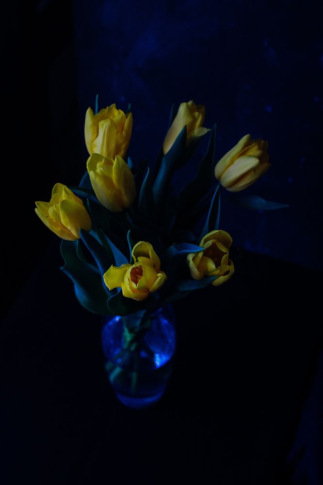 Photograph by Юлия Белозёрова