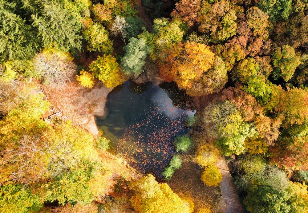 Photograph by Hanna Sauchuk