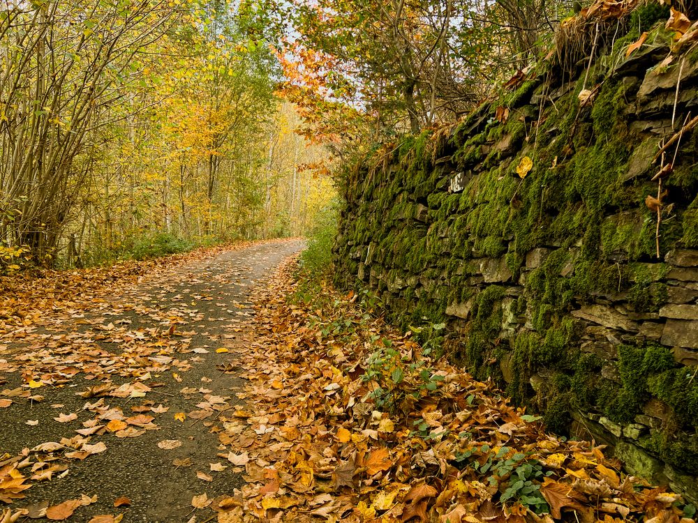 Photograph by Hanna Sauchuk