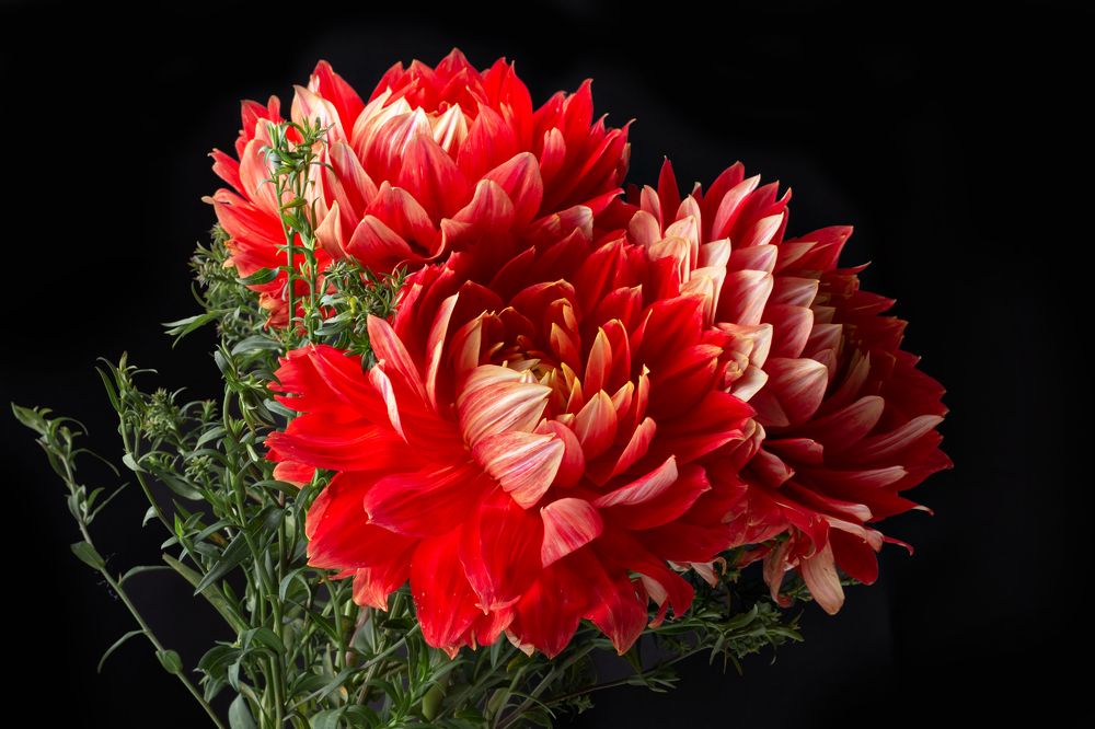 Фотография автора Наталья Василькова