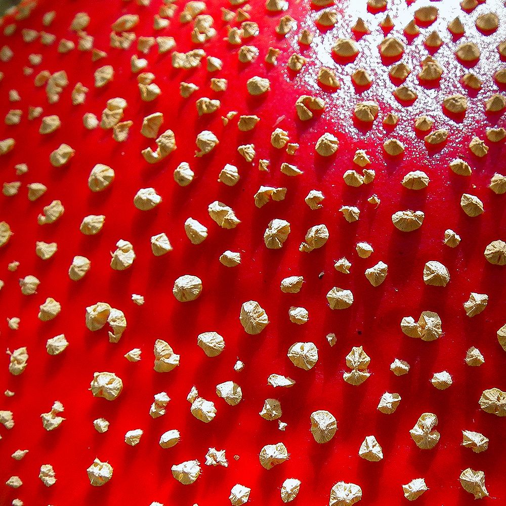 Photograph by Алексей Окунеев