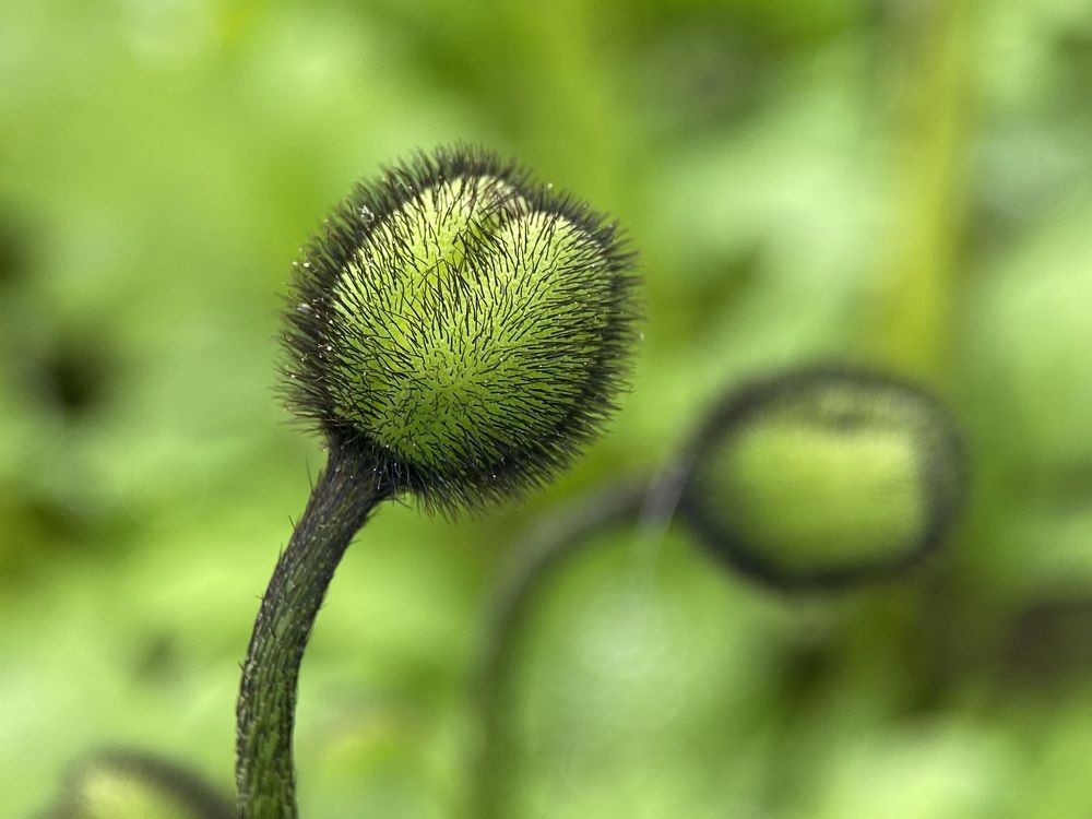 Фотография автора Наталья Василькова