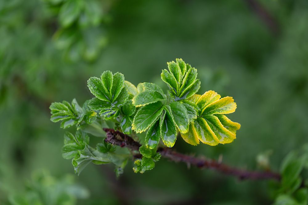 Фотография автора Наталья Василькова