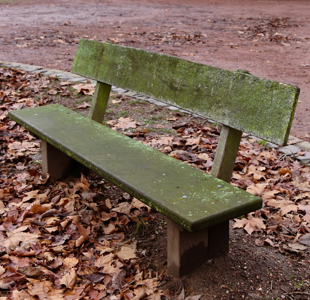 Photograph by ЗОЯ МЕДВЕДЕВА