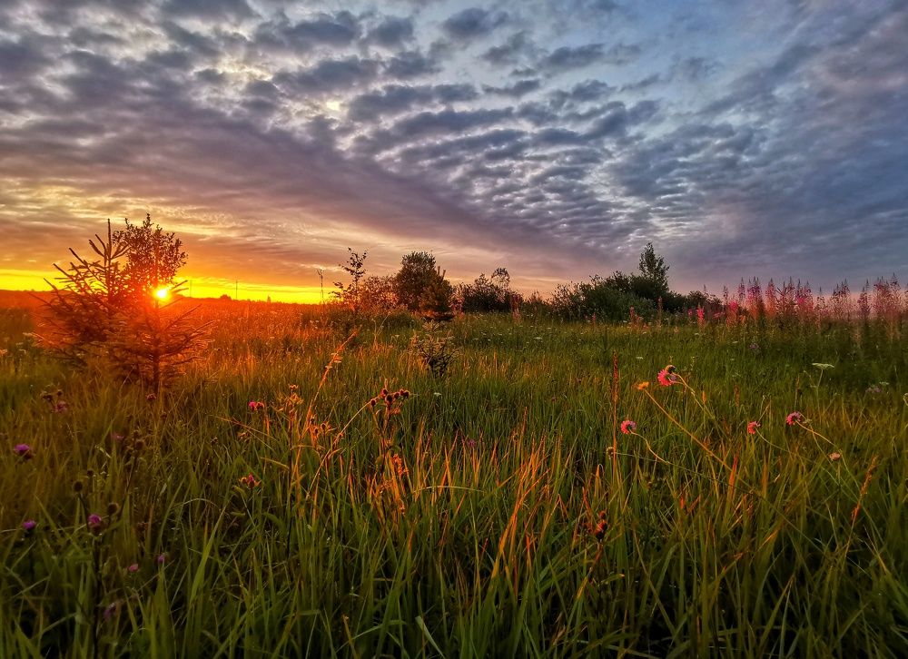 Photograph by Андрей Шестаков