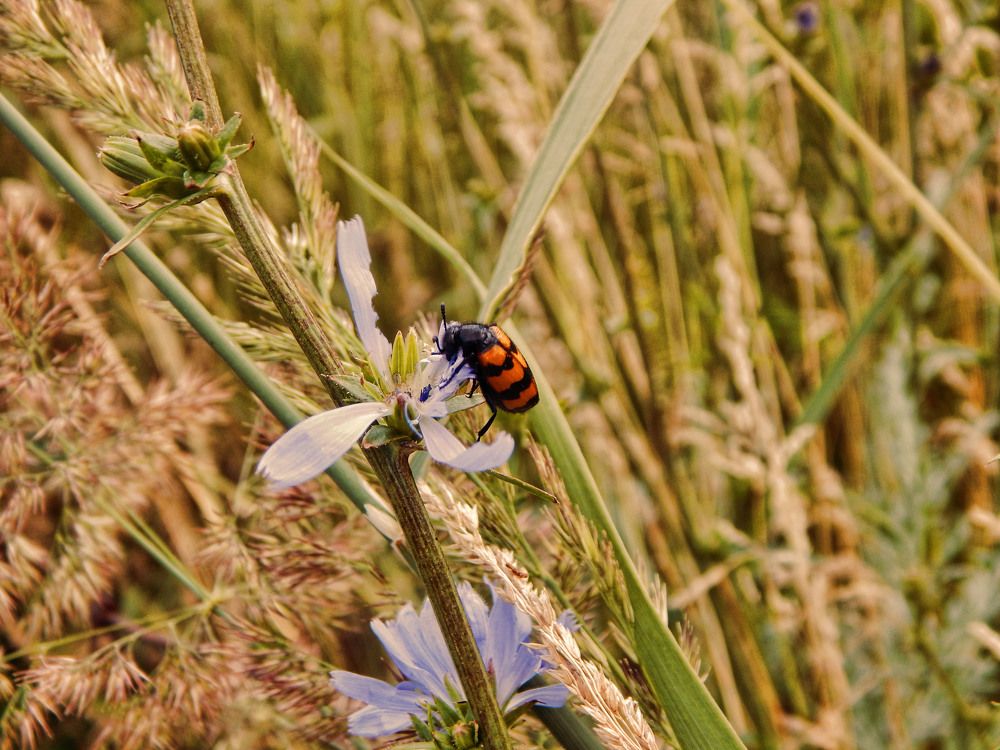 Фотография автора Валерий Цуркан