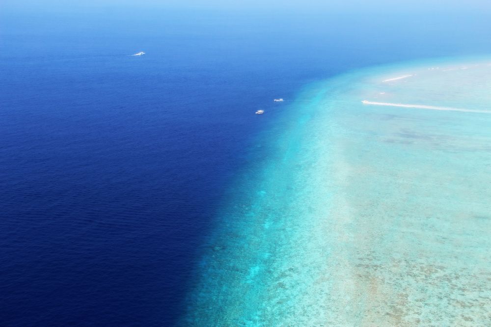 Photograph by Anna Perevozchikova