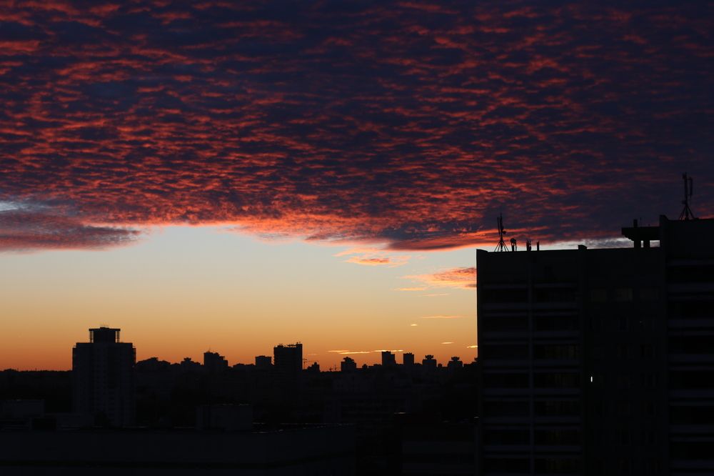 Photograph by Людмила Казак