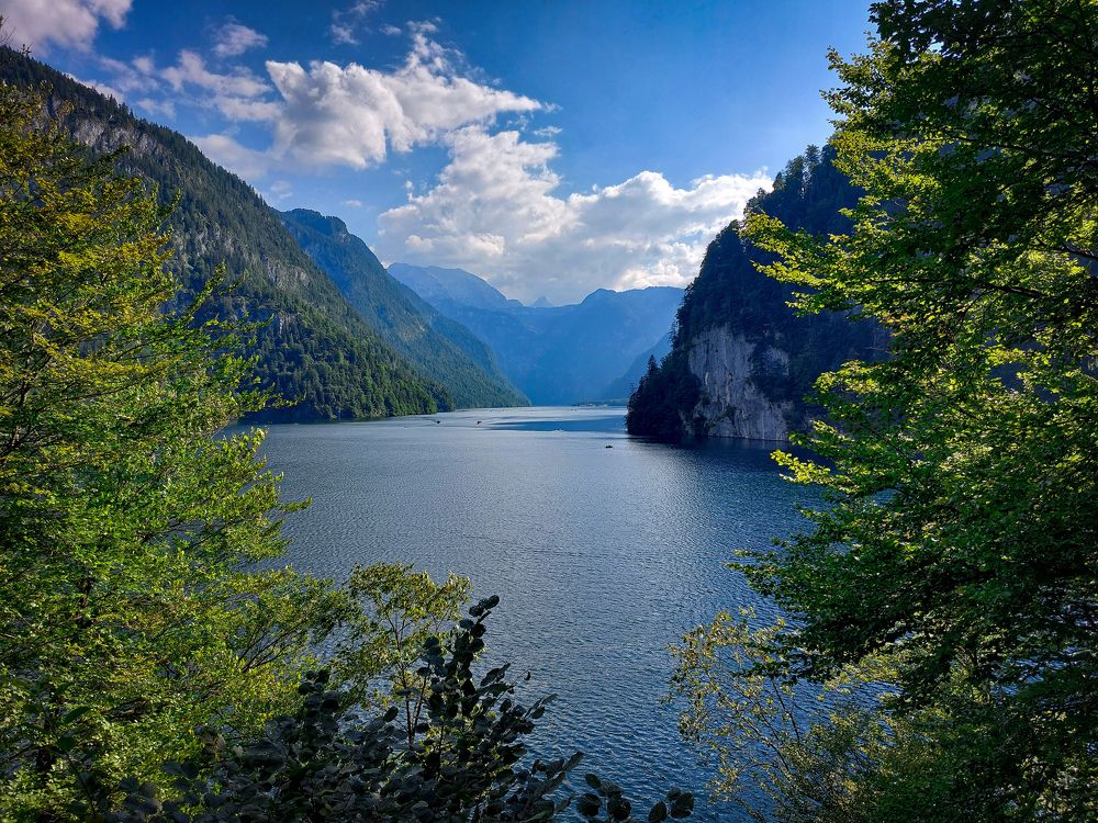 Photograph by Jelena Dzene