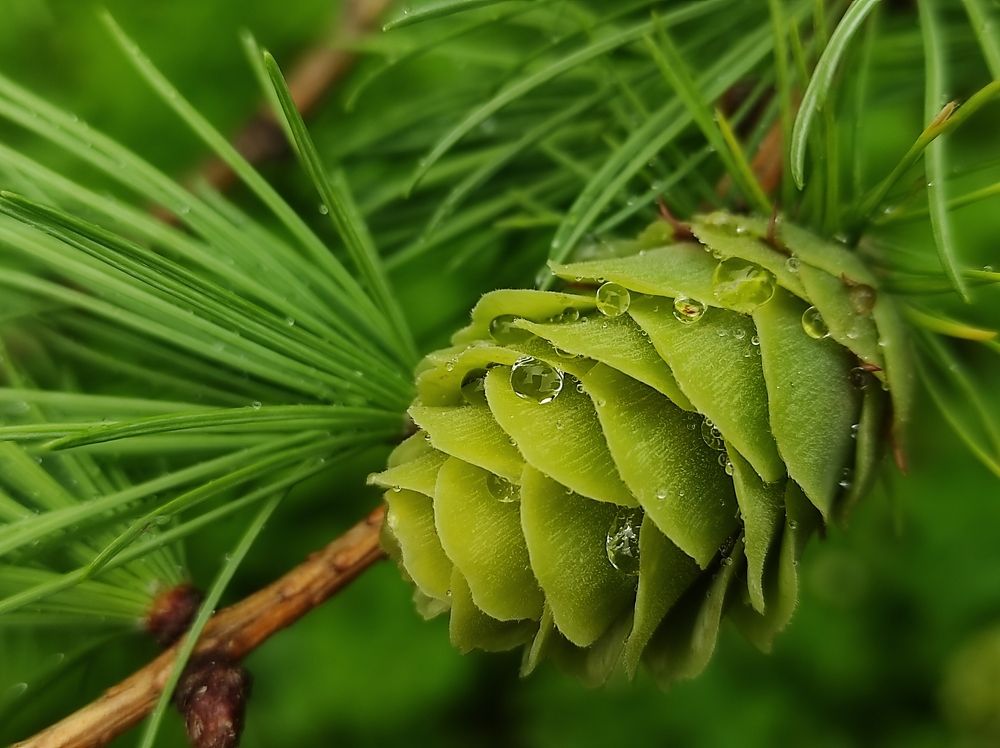 Photograph by Юлия Трап