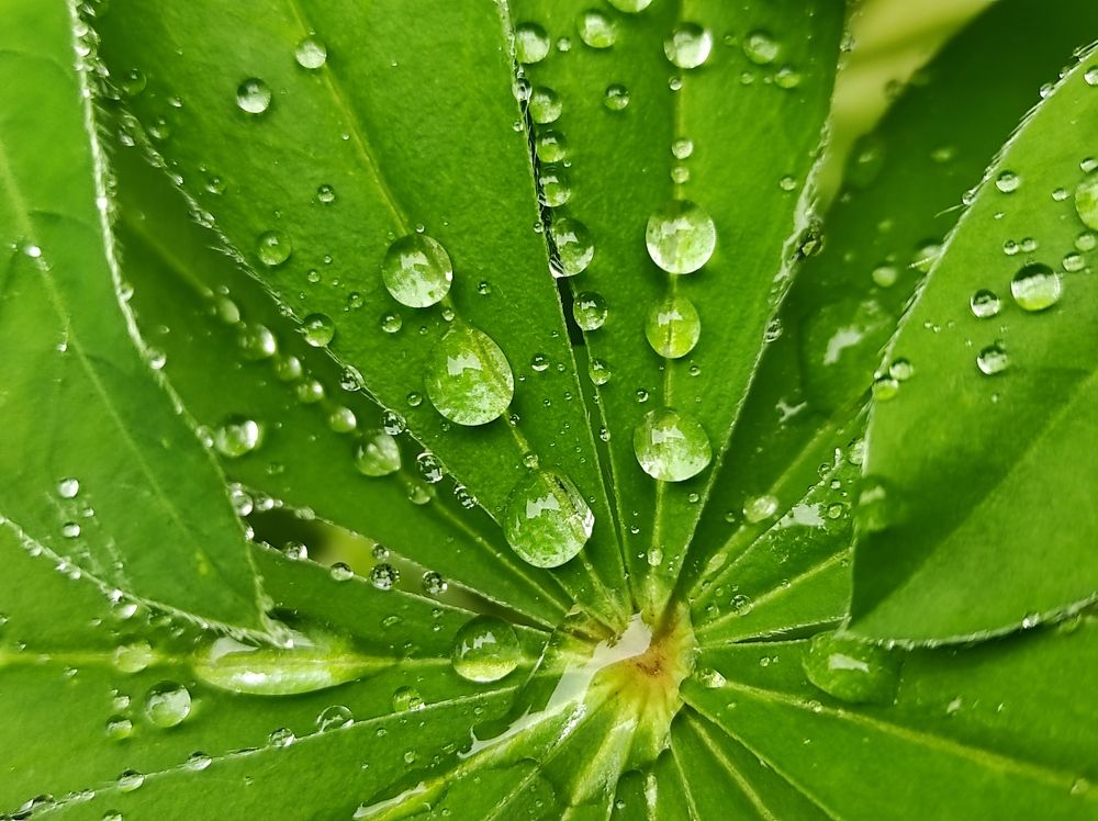 Photograph by Юлия Трап