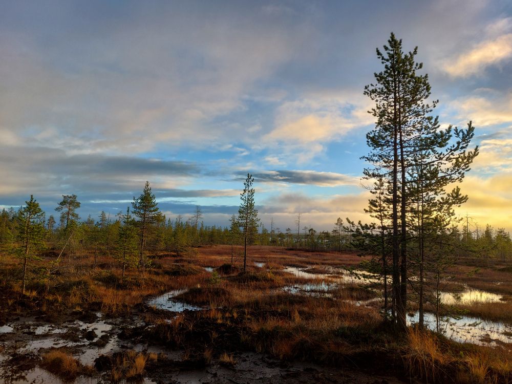 Photograph by Галина Андреева