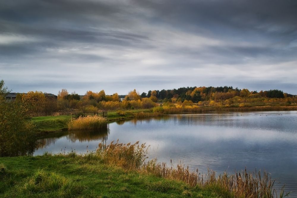 Фотография автора Юлия Кранина