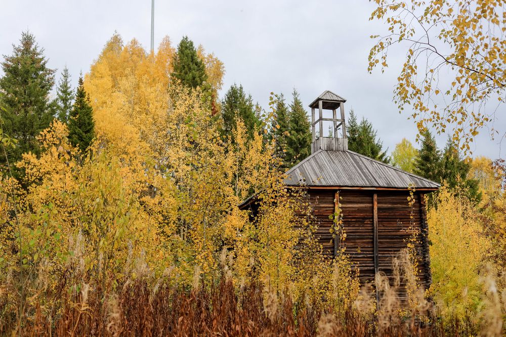 Photograph by Юлия Трап