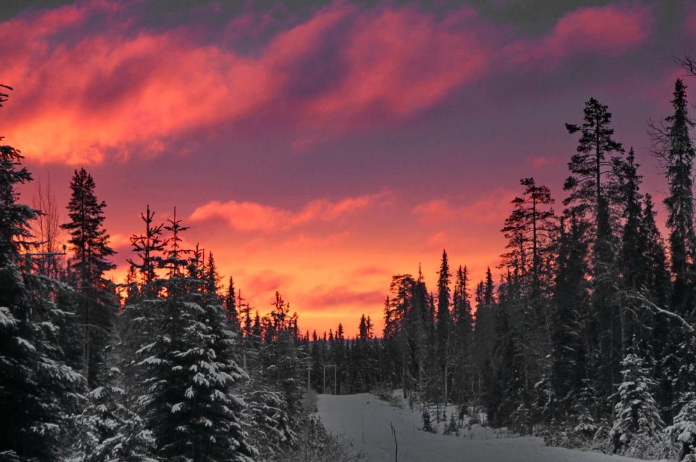 Photograph by Лада Денисова