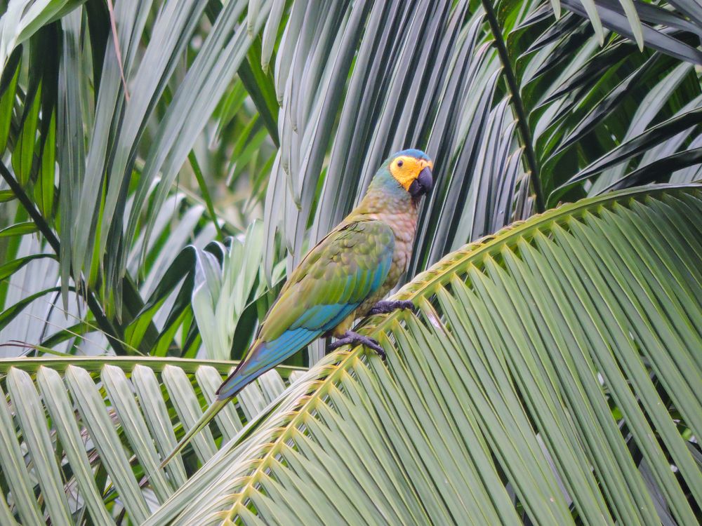 Photograph by Patrícia Helena