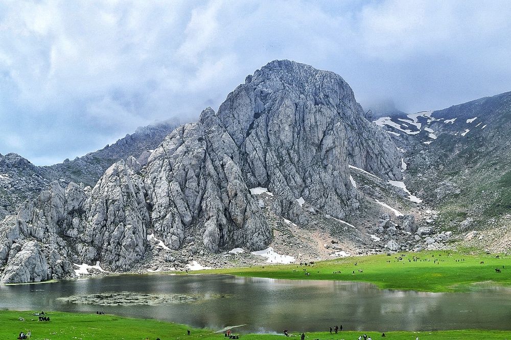 Photograph by Anous abadi