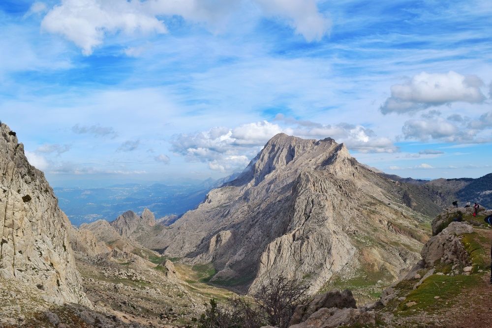 Photograph by Anous abadi