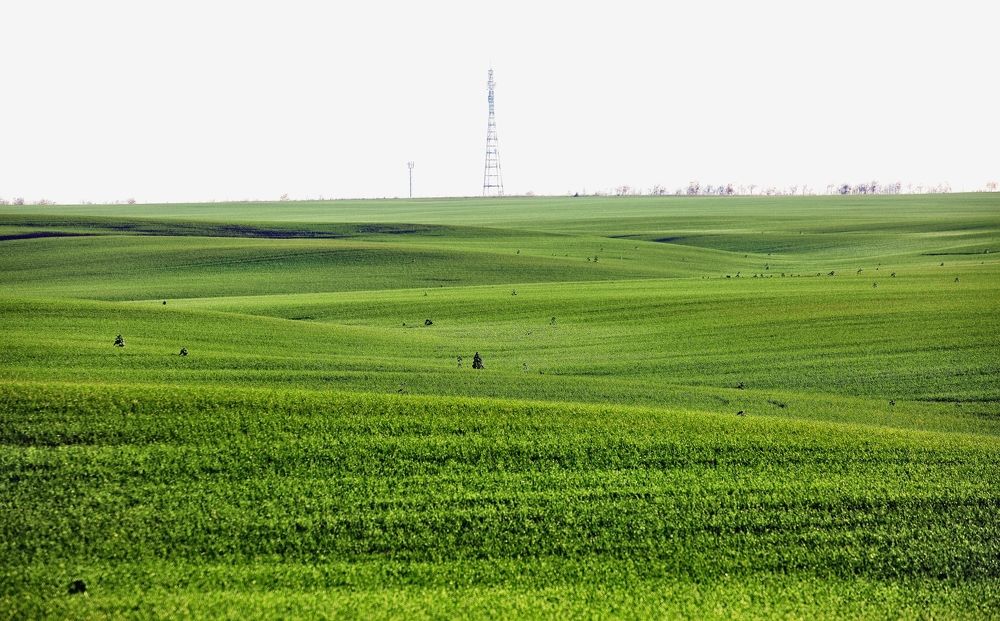 Photograph by Сергей Жданов