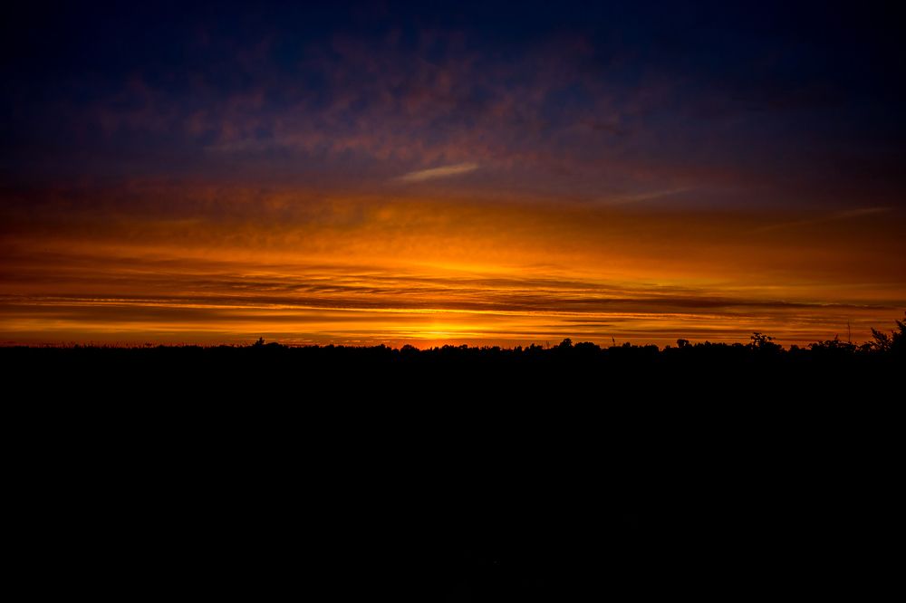 Photograph by Алексей