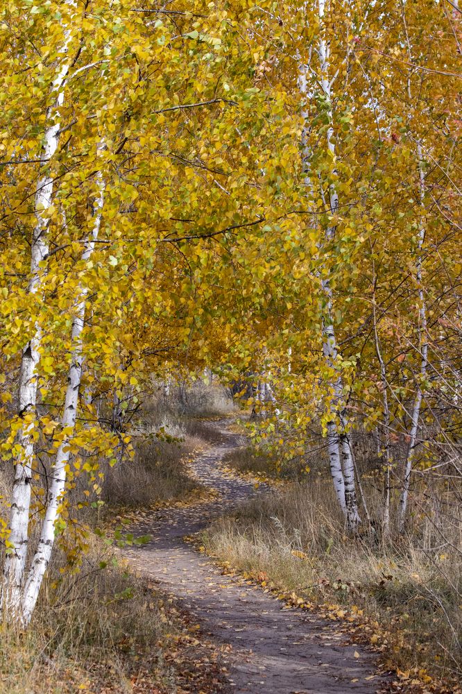 Photograph by Дмитрий Тимин