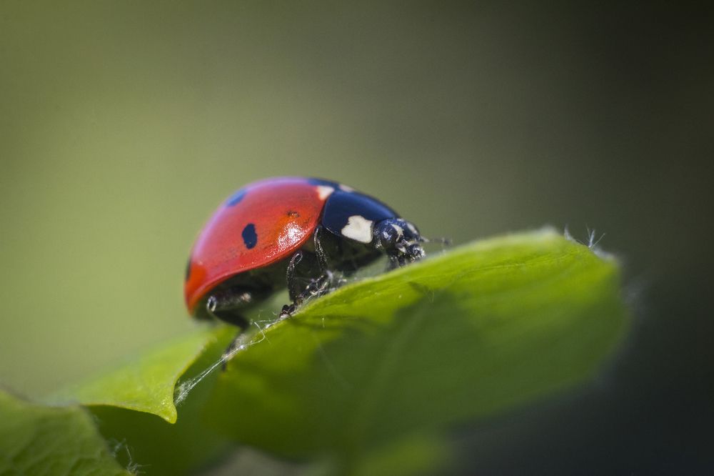 Photograph by Дмитрий Тимин